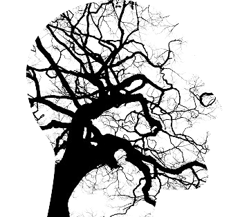 Las hojas de un árbol son como las conexiones neuronales de nuestra mente